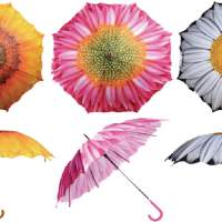Regenschirm ''Blume'' 1 Stück