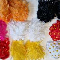 Sexy bh in diverse kleuren veren voor carnaval